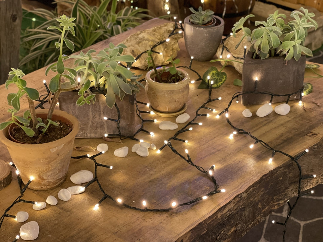 Catena minilucciole bianco caldo con pannello solare